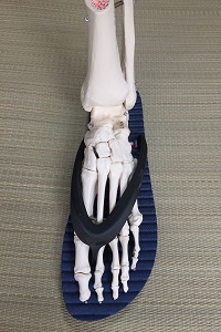 ぞうりを履いた足の模型画像
