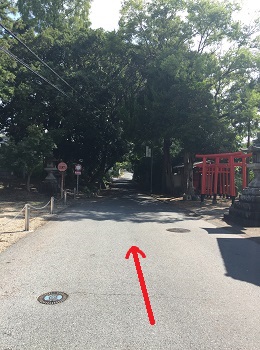 鳥居の中の様子の画像