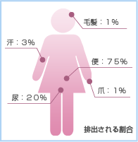 体内毒素が排出される割合を示した人体図の画像