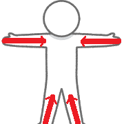 3次元の立体的な診方を示す画像