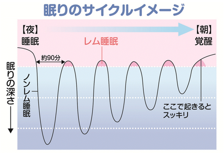 眠りのサイクルイメージを表した画像