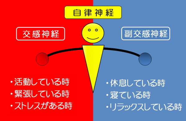自律神経のバランスを示した画像