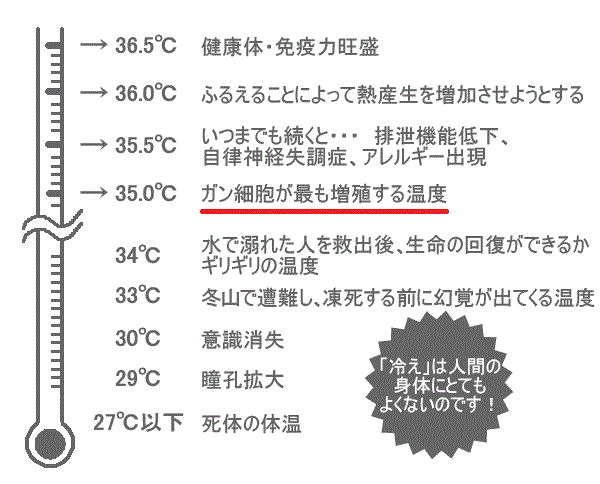 体温が人体に及ぼす影響を示した図の画像