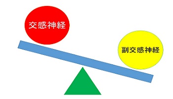 交感神経と副交感神経のバランスをシーソーで表した画像